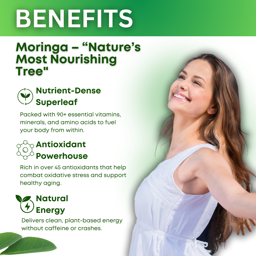 B2G2 50% SALE - Quanola Moringa Leaf Capsules (4 Bottles Stack)